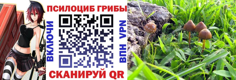 Псилоцибиновые грибы ЛСД  Владивосток 